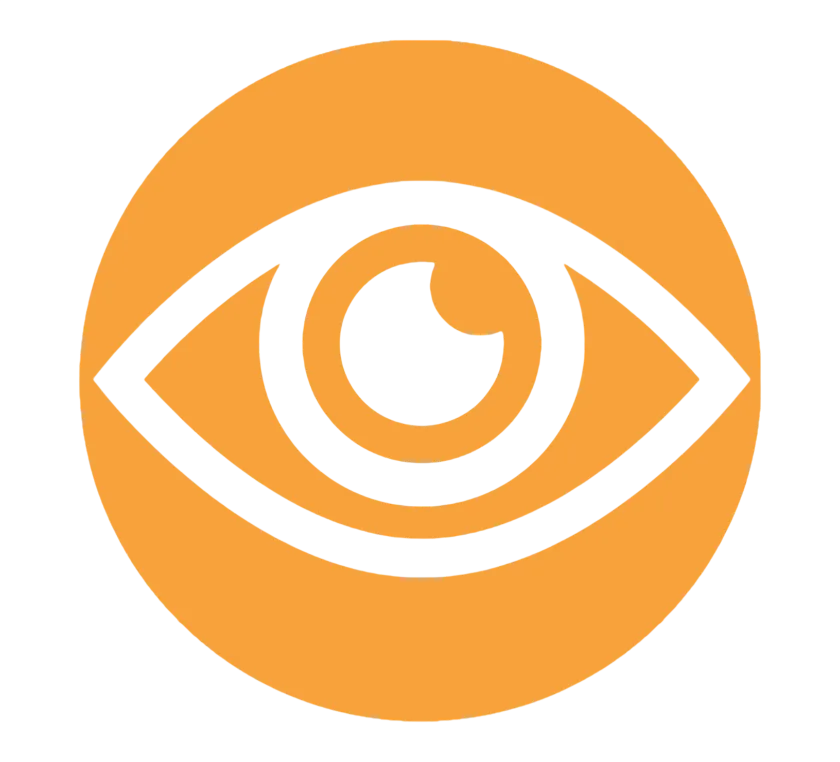 Vision Icon