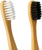 Toothbrush Right